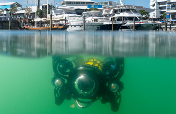 ROV   BOXFISH   LEIGH TAIT   GRAEME INGLIS   Auckland   STU 7793 (0;00;00;00)
