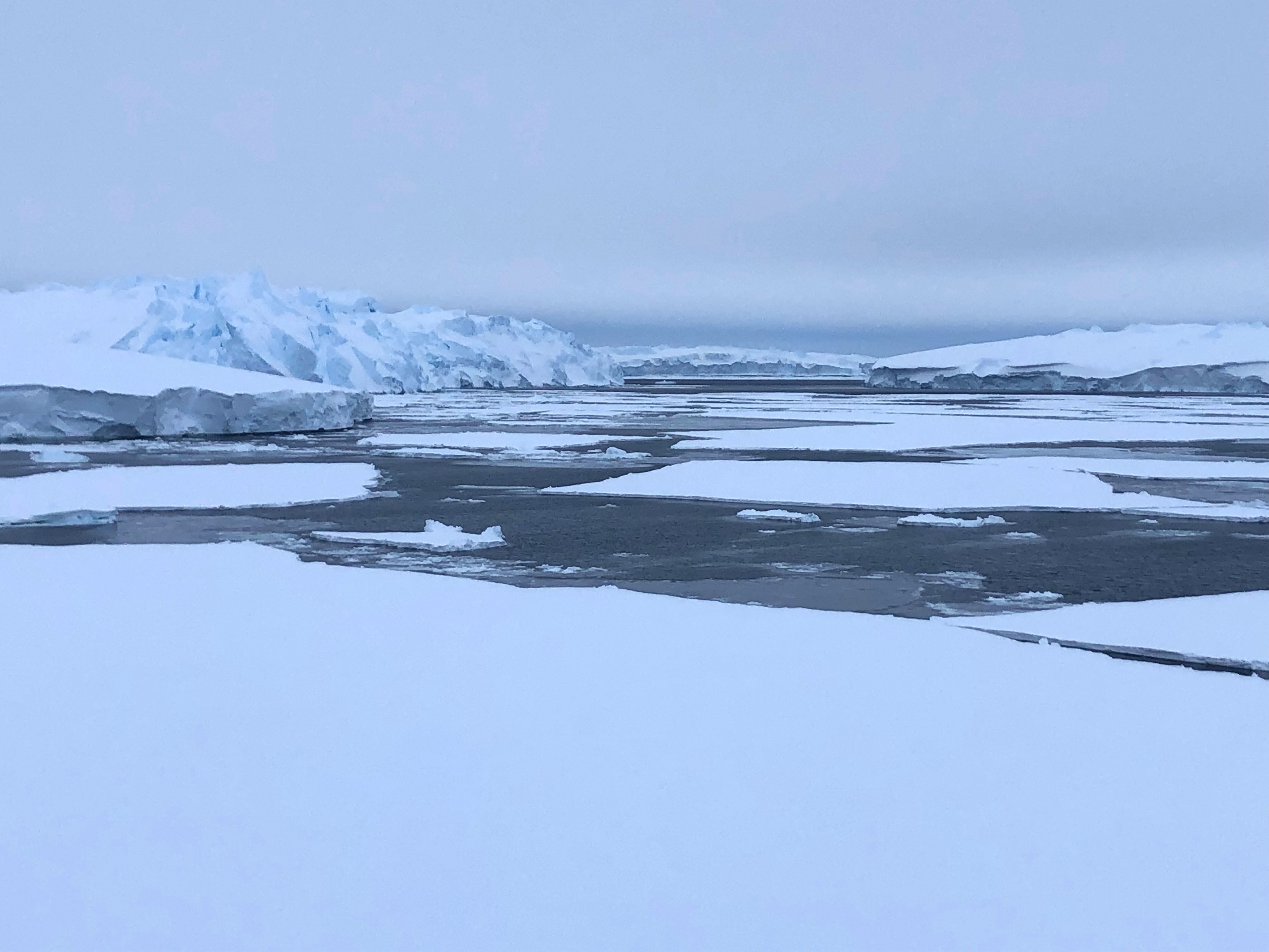 Grounded icebergs to the west of Ninnis Glacier credit Johan Etourneau