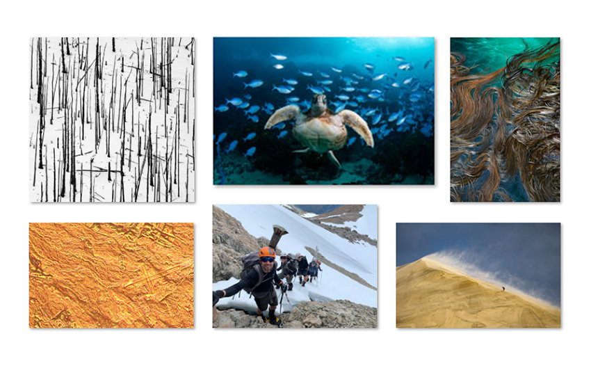 Photocomp winners 2025