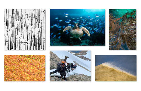 Photocomp winners 2025