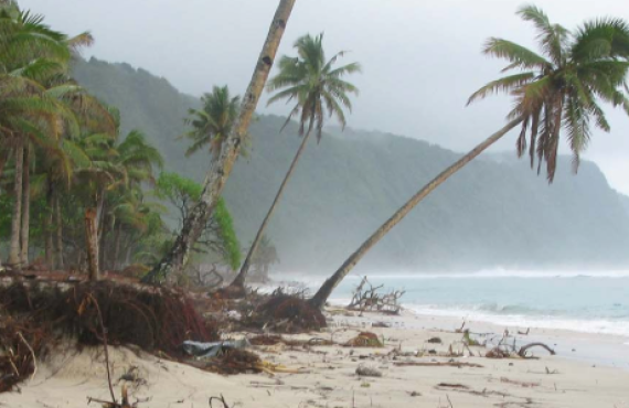 Tsunami