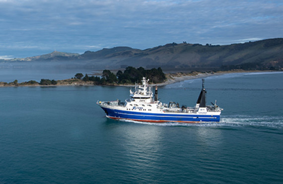 Vessels ESNZ
